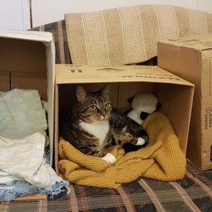 Meet your Posher, Beth